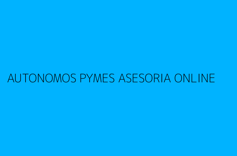 AUTONOMOS PYMES ASESORIA ONLINE